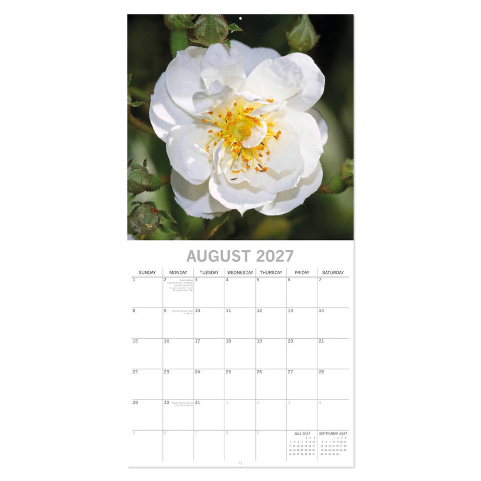 Roses kalender 2027