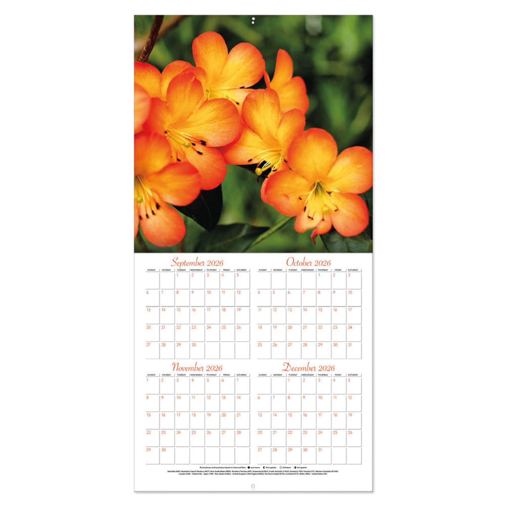 Flowers kalender 2027