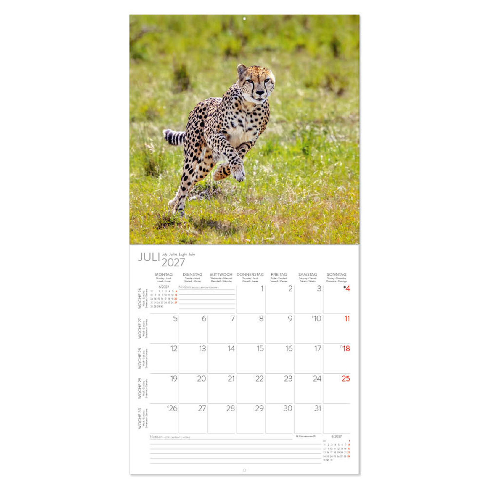 Big Cats kalender 2027