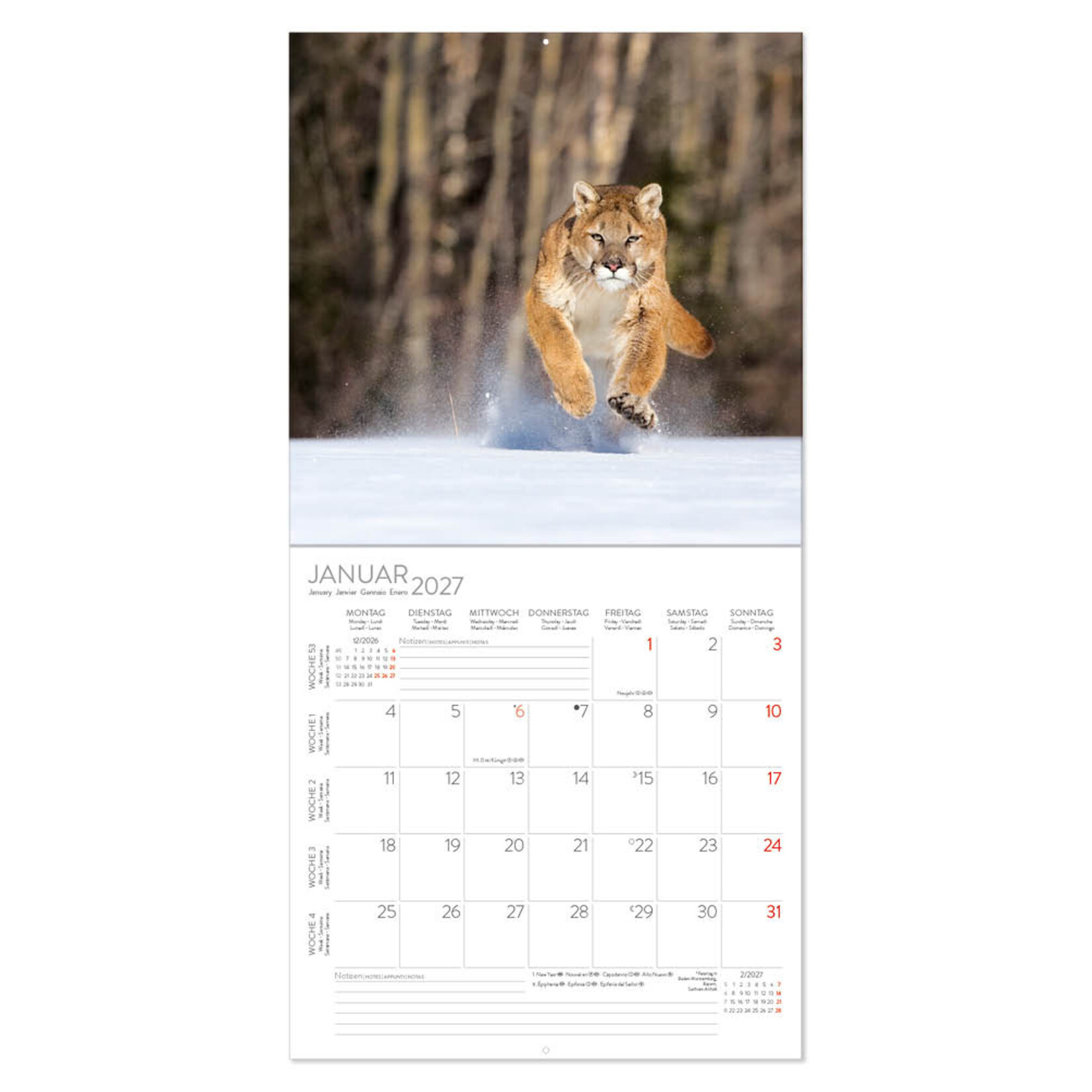 Big Cats kalender 2027