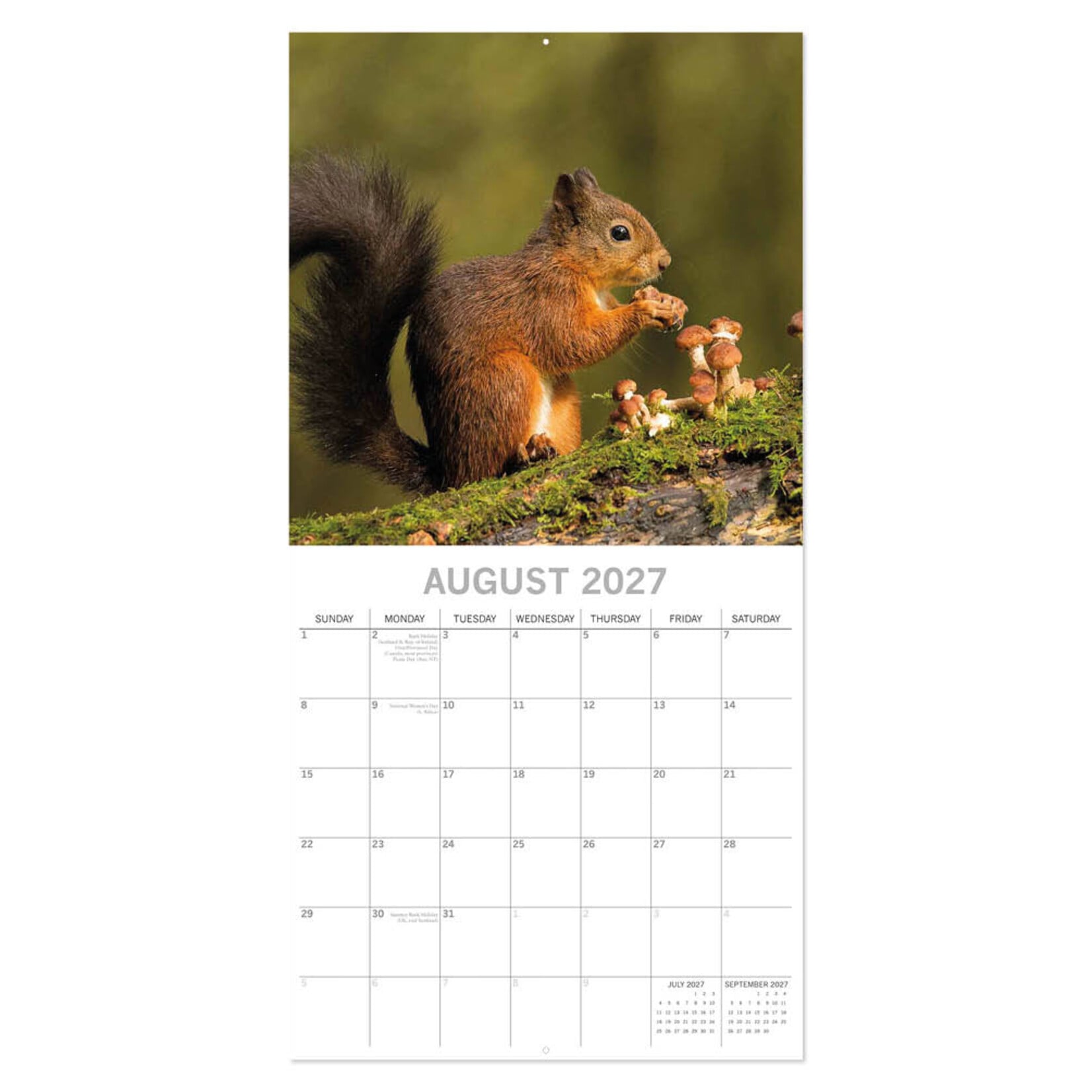 Country Wildlife kalender 2027