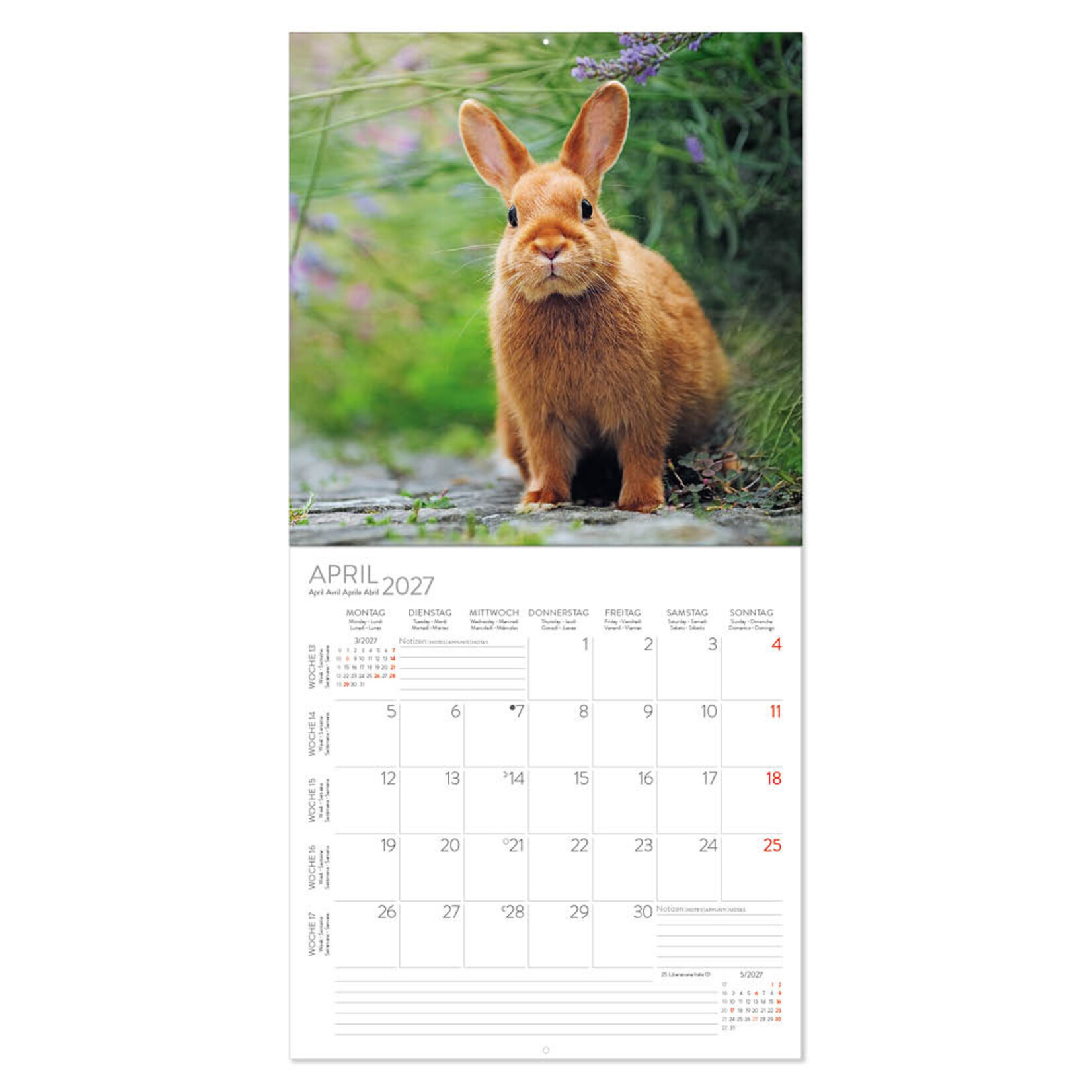 Konijnen kalender 2027