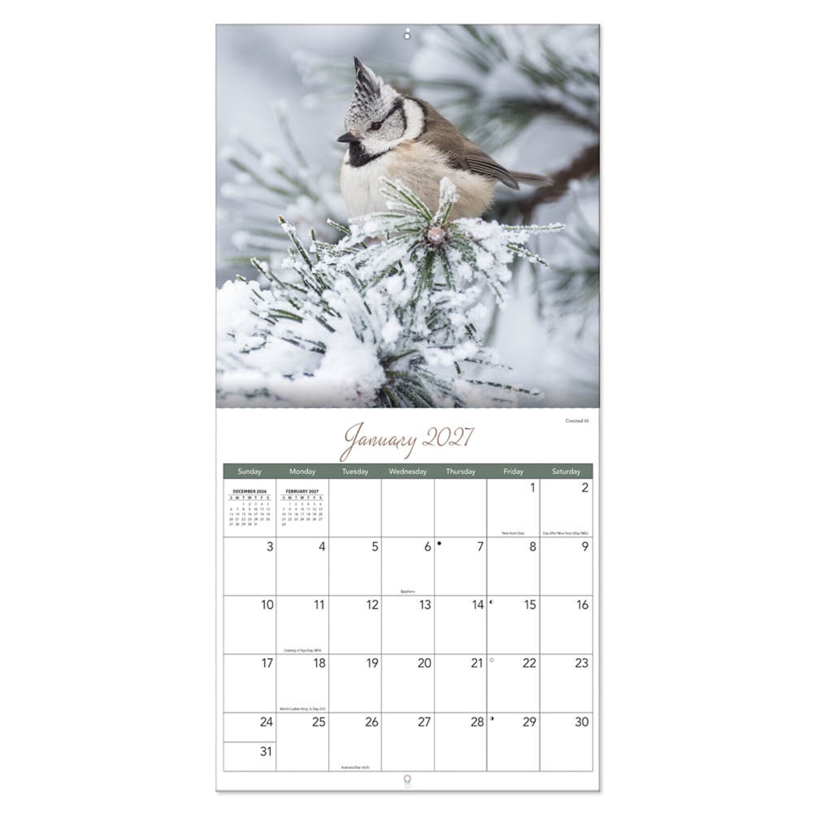 Songbirds kalender 2027
