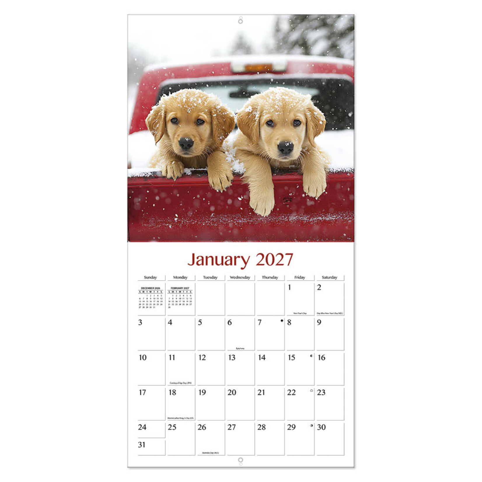 Golden Retrievers kalender 2027