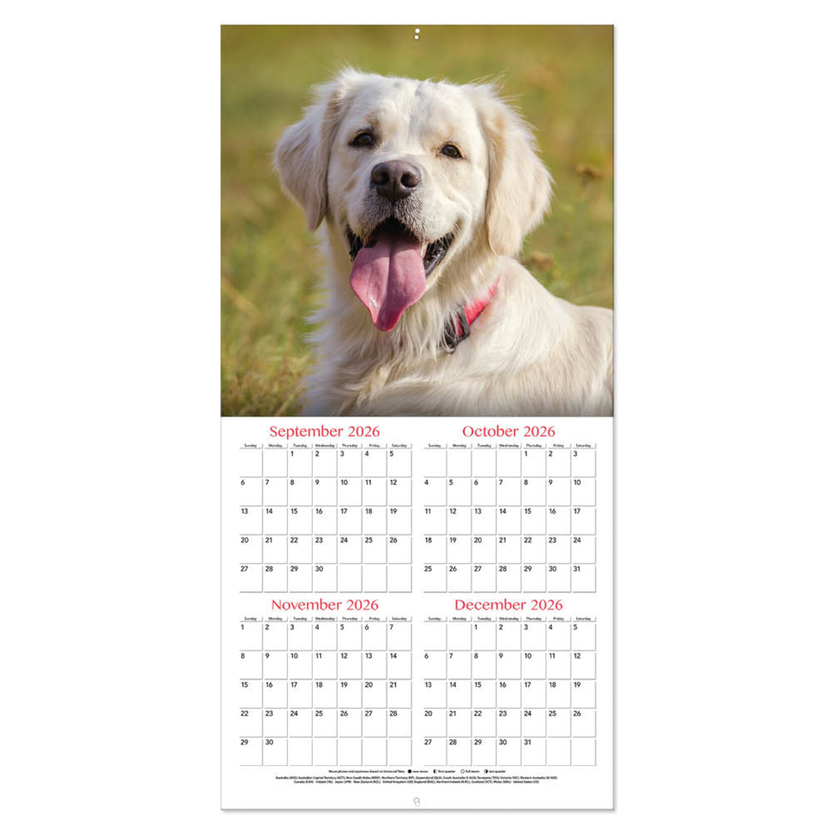 Golden Retrievers kalender 2027
