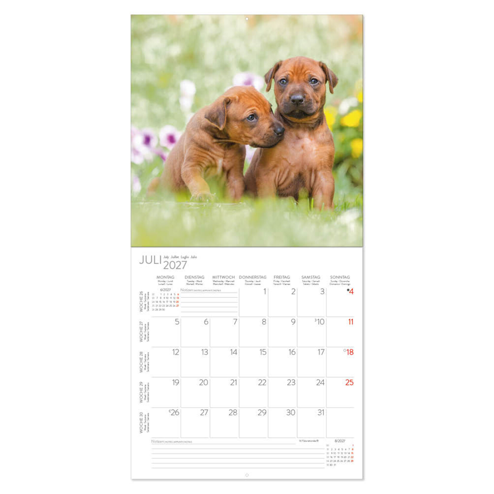 Dogs kalender 2027