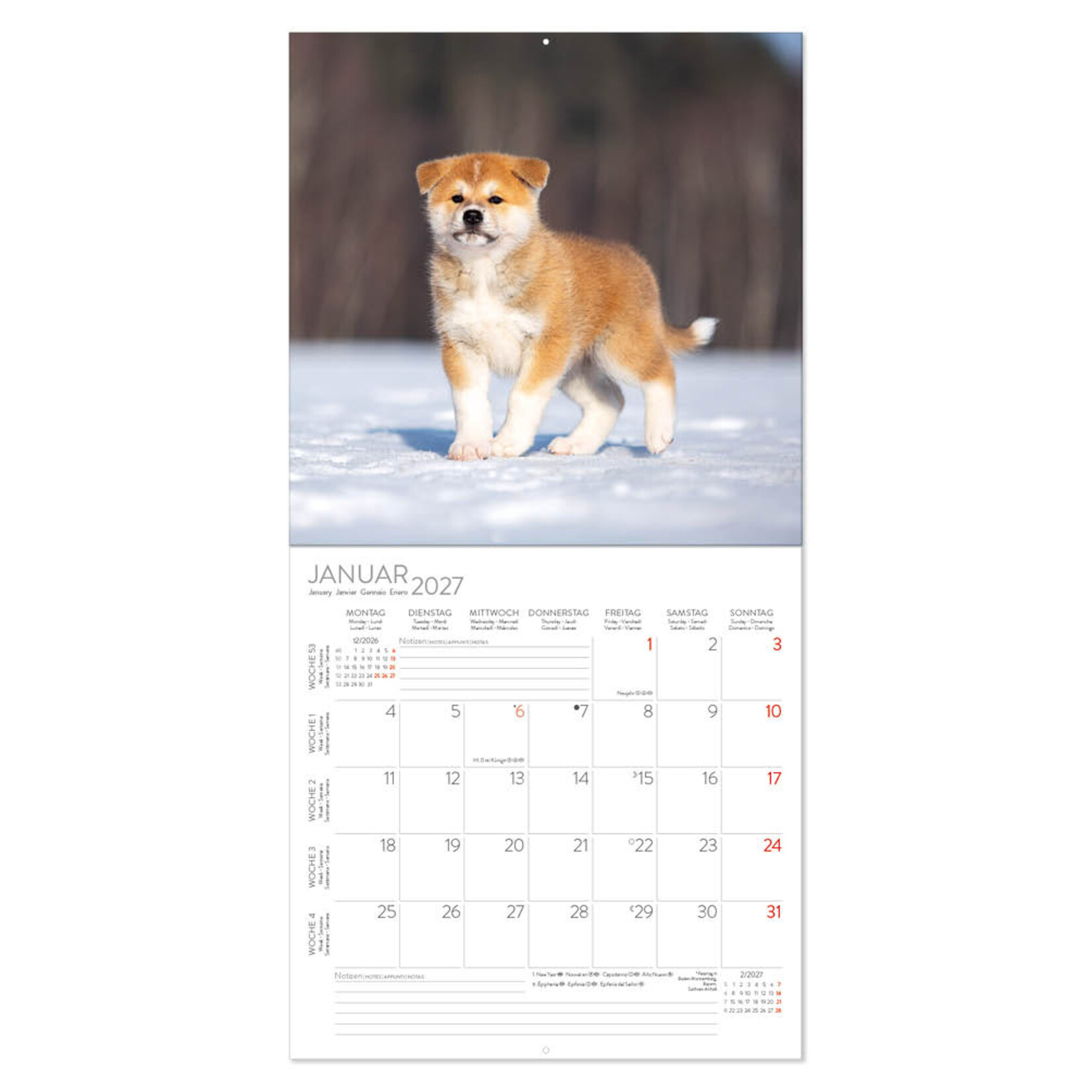 Dogs kalender 2027