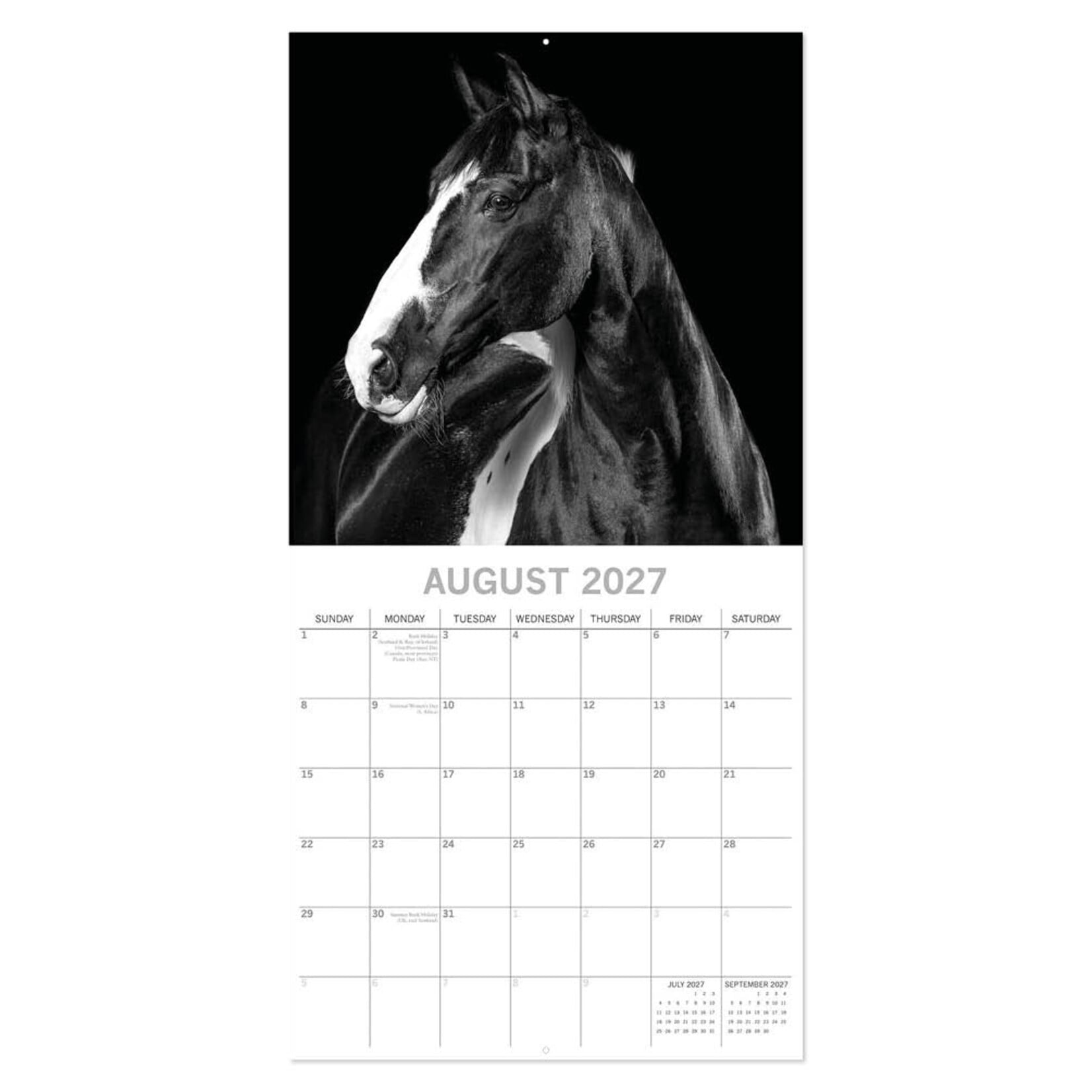 Horses portraits 2027