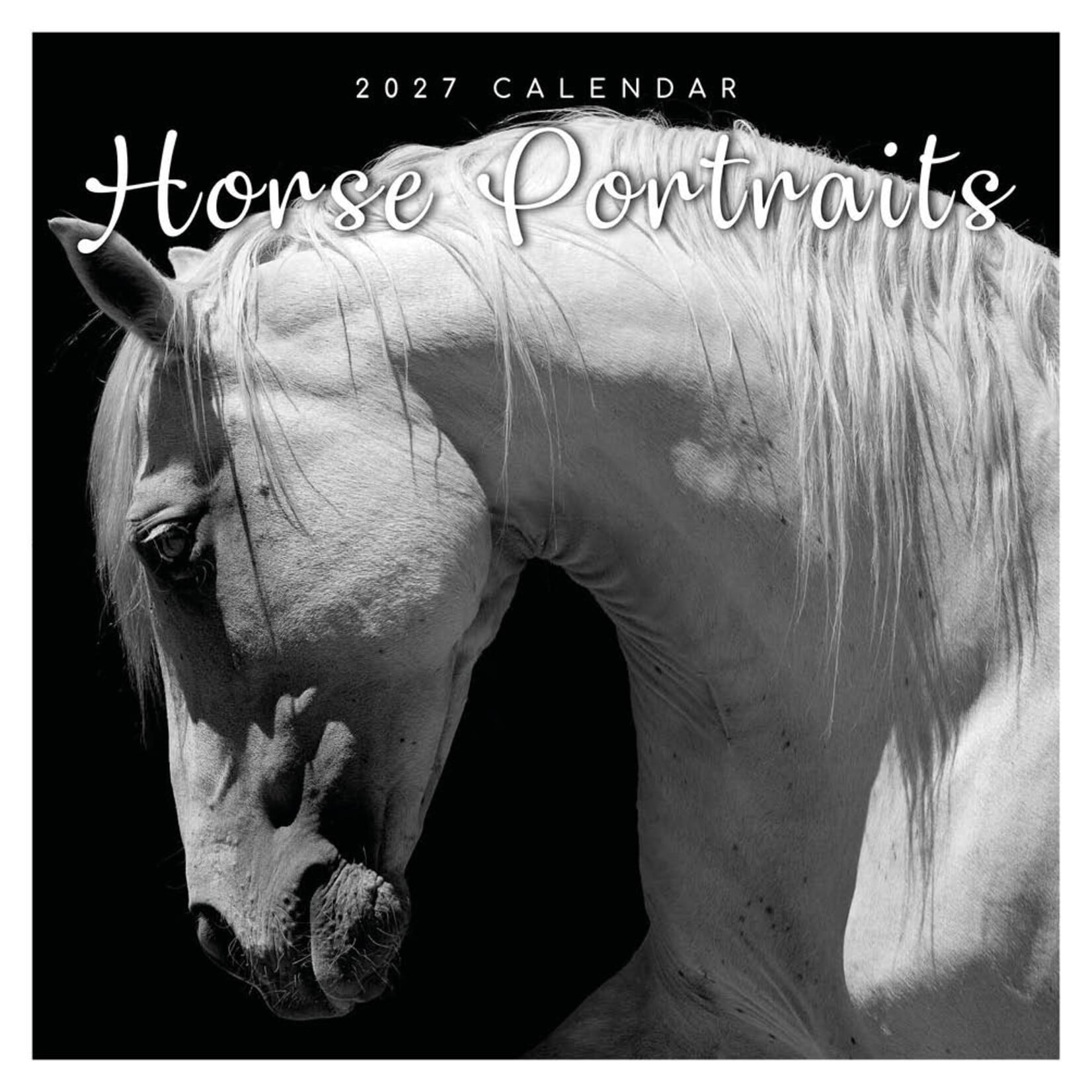 Horses portraits 2027