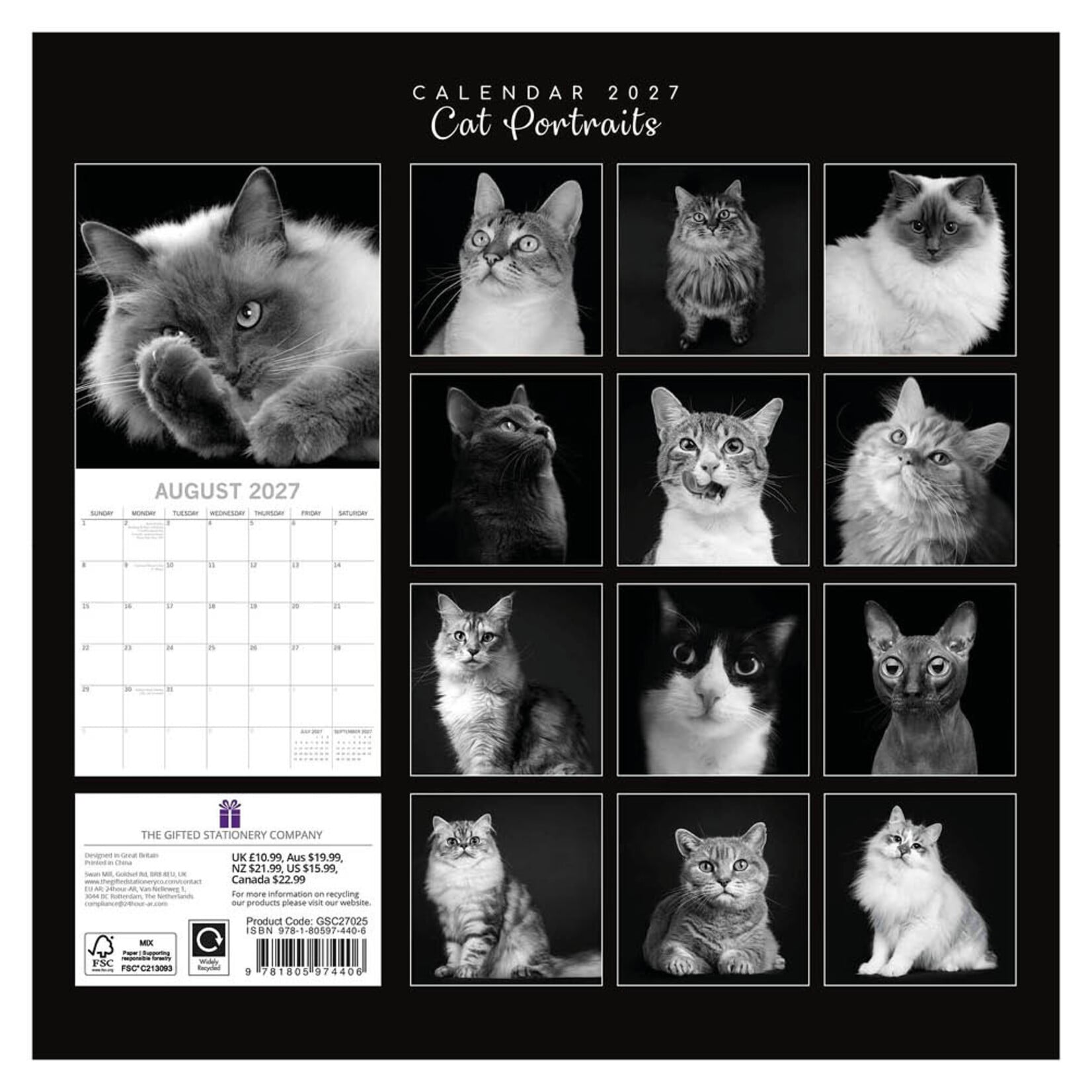 Cat portraits kalender 2027