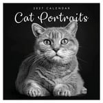 Cat portraits kalender 2027
