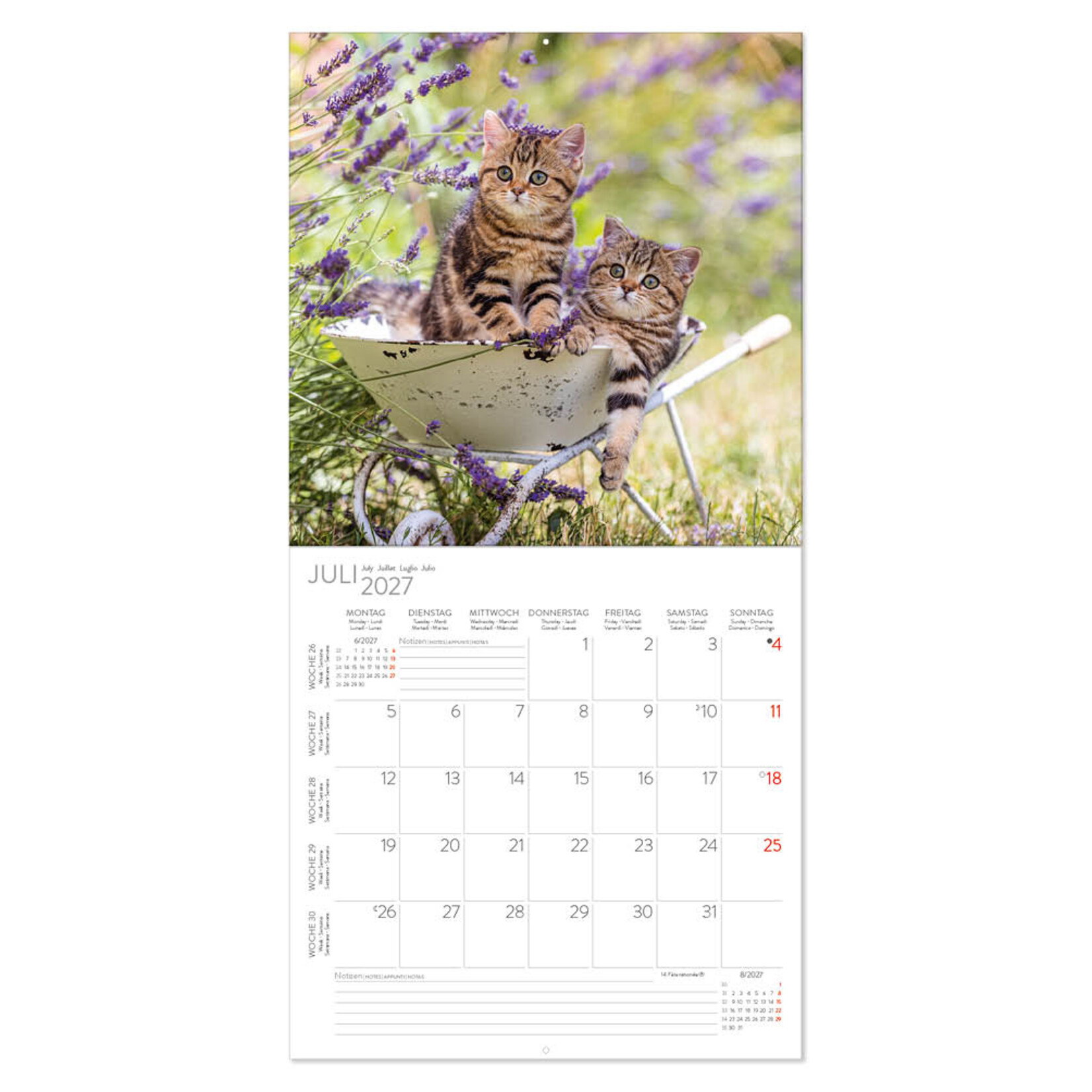 Cats kalender 2027