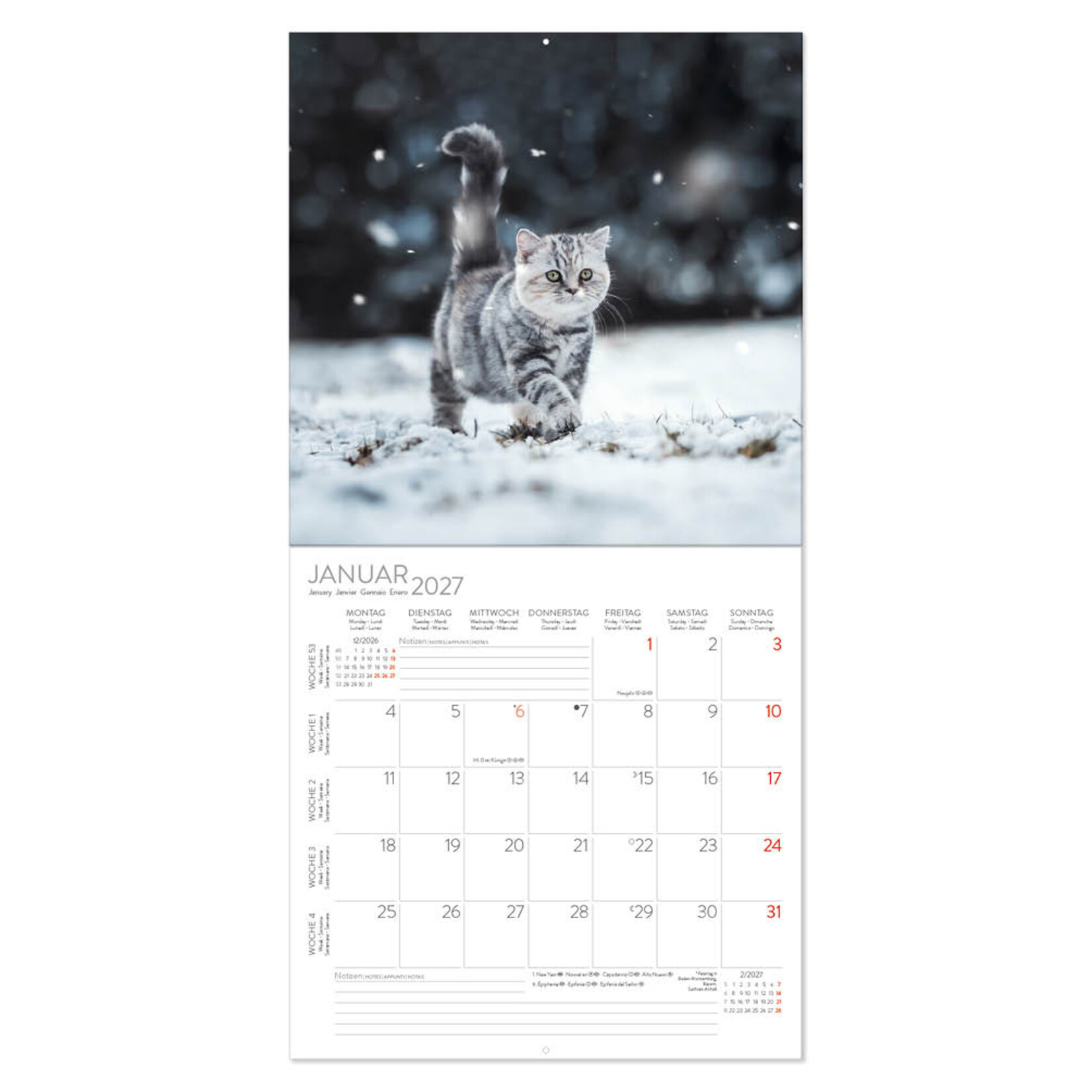 Cats kalender 2027