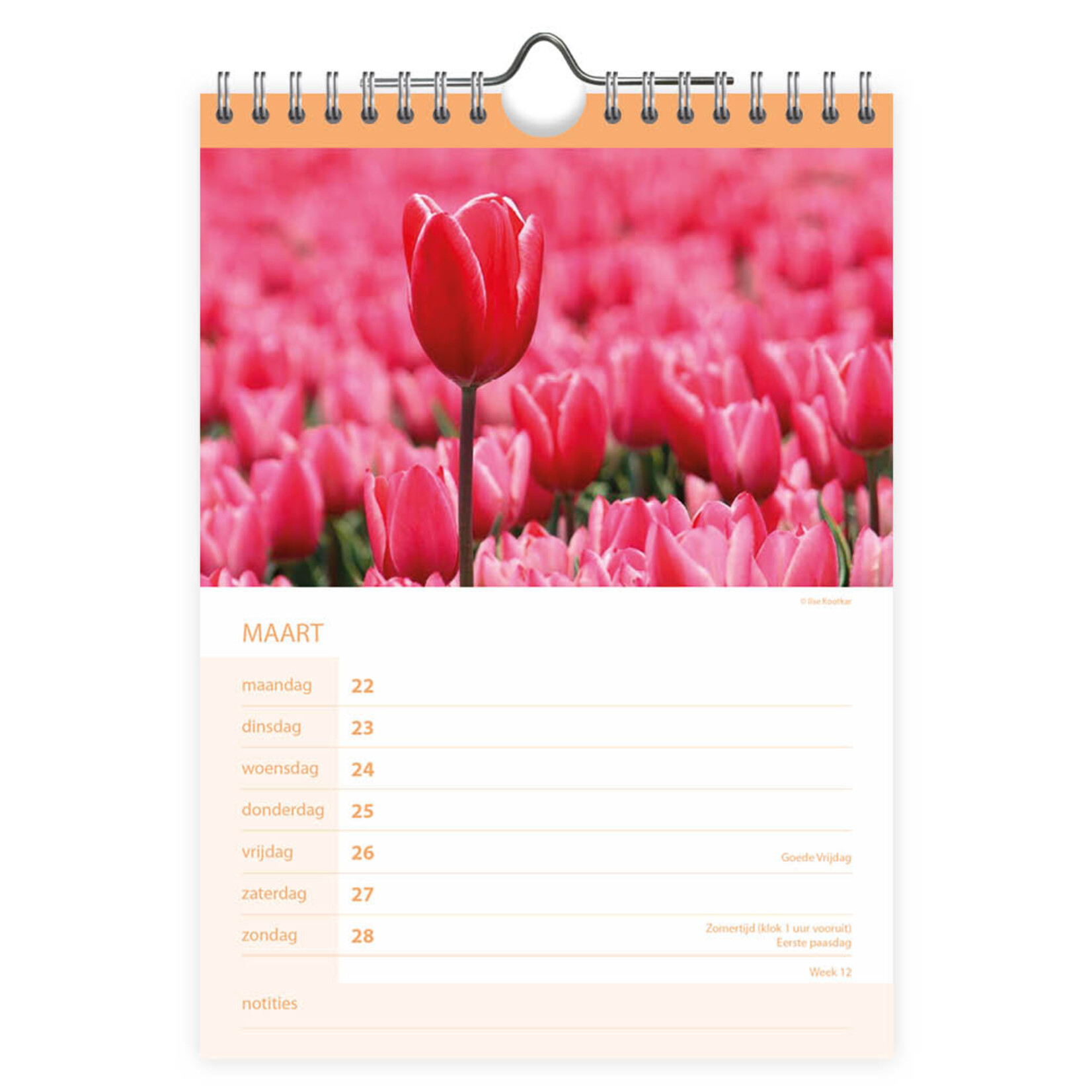 Bloemen WEEKnotitiekalender 2027