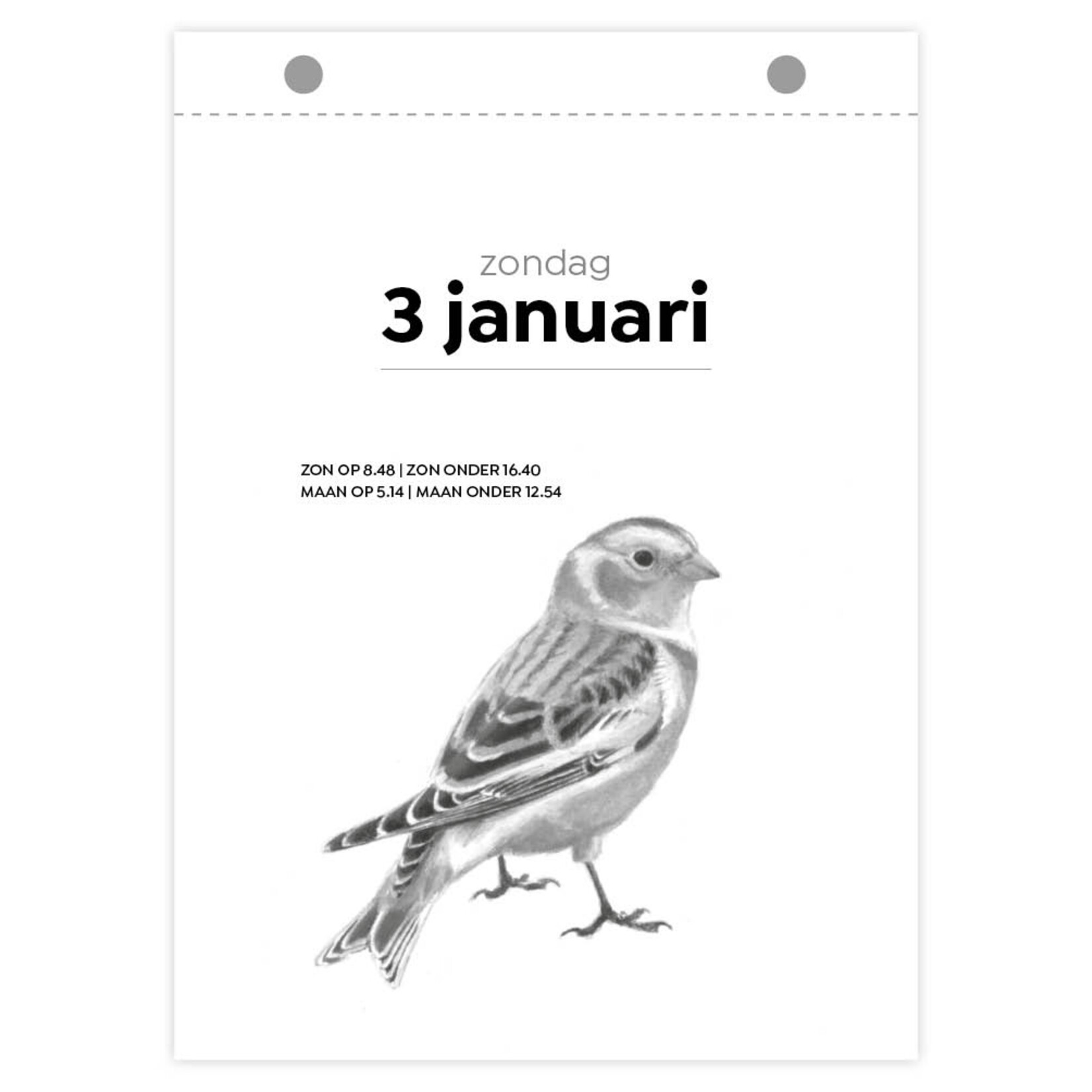 Vogelscheurkalender 2027
