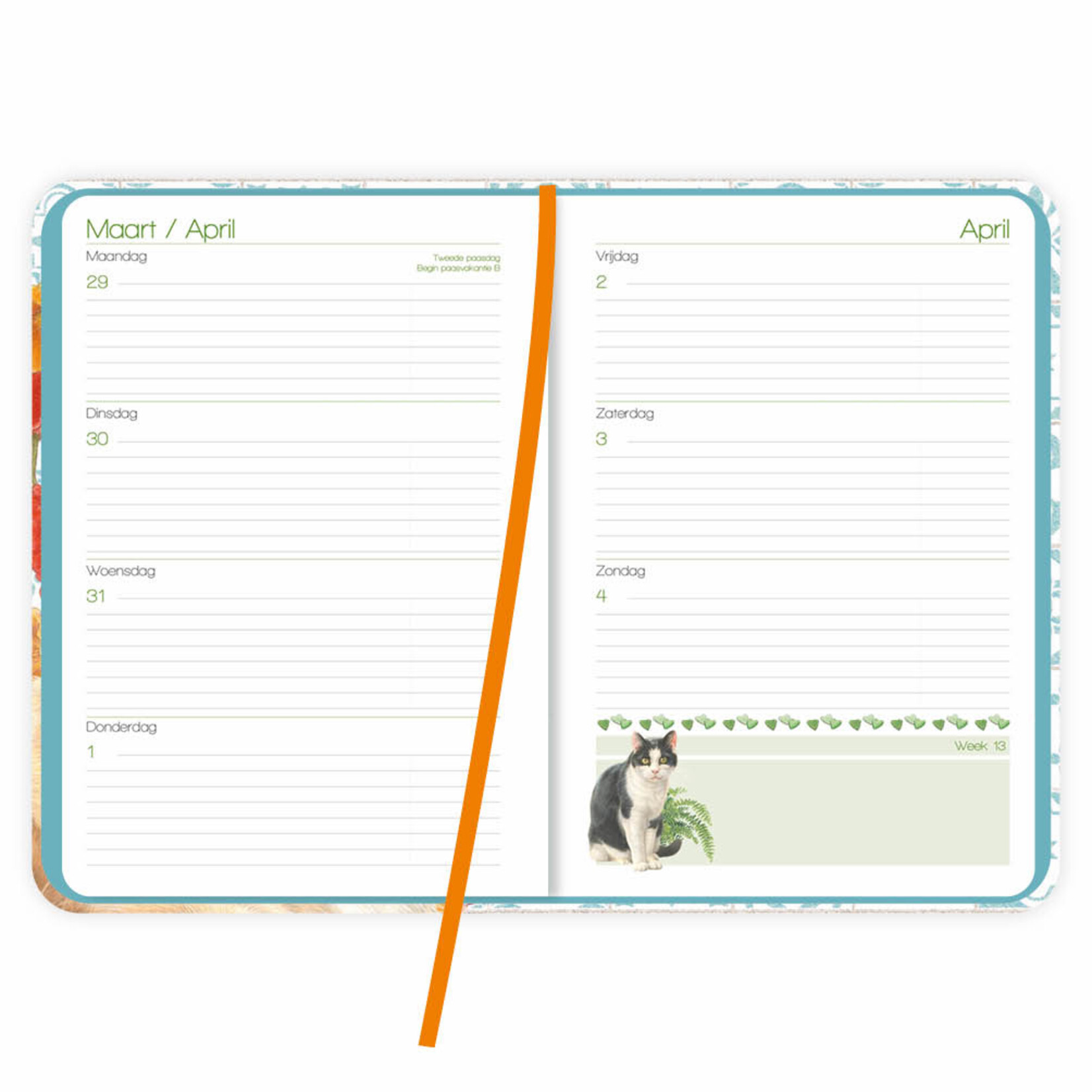 Franciens katten weekagenda Sjors 2027