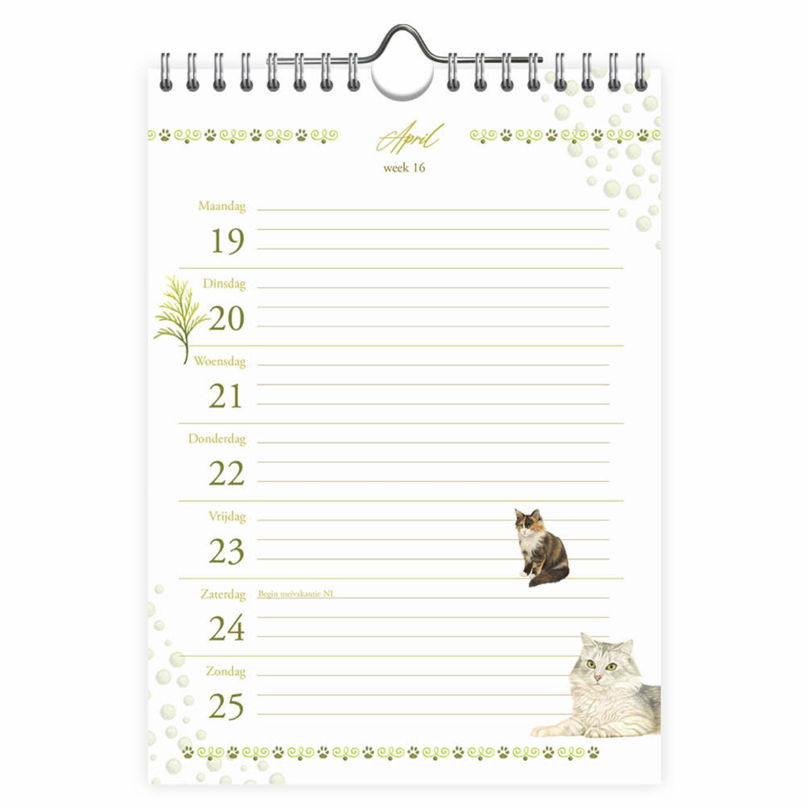 Franciens katten WEEKnotitiekalender Blitz 2027