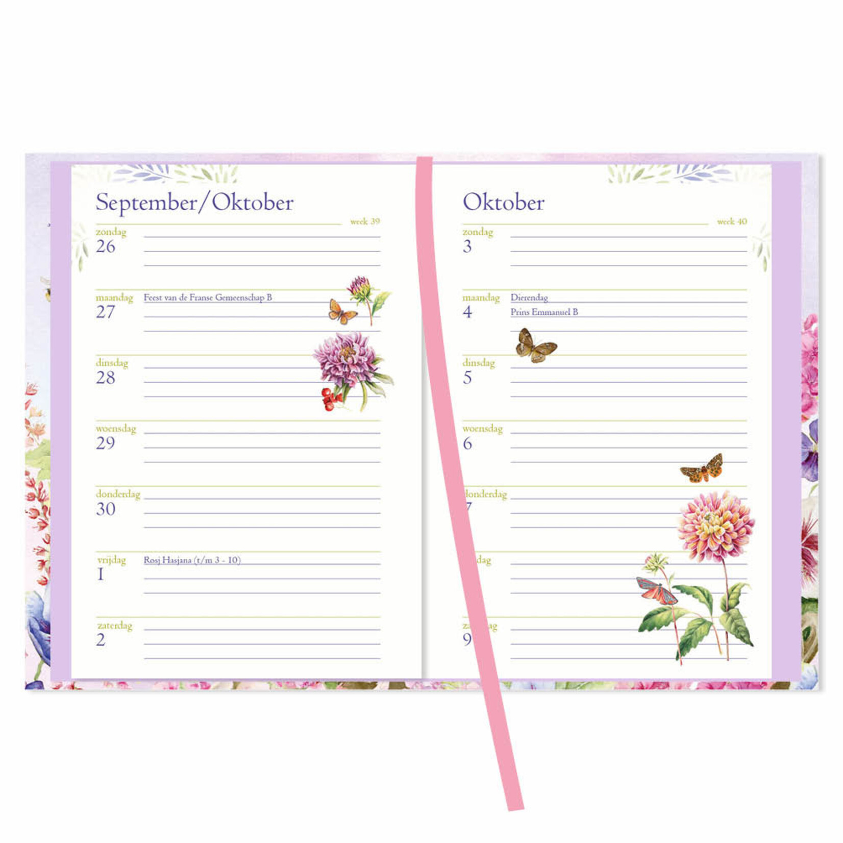 Janneke Brinkman zakagenda Hibiscus 2027