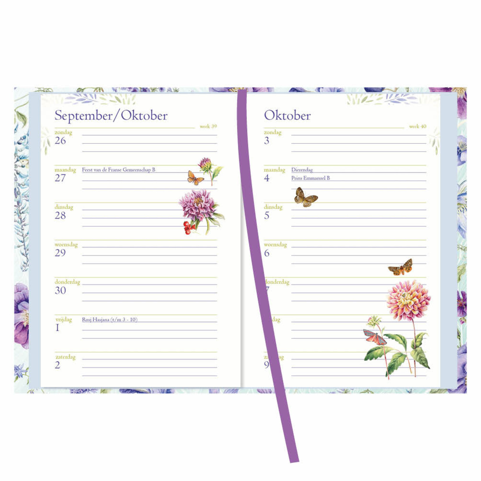 Janneke Brinkman zakagenda Blauwe Bloemen 2027