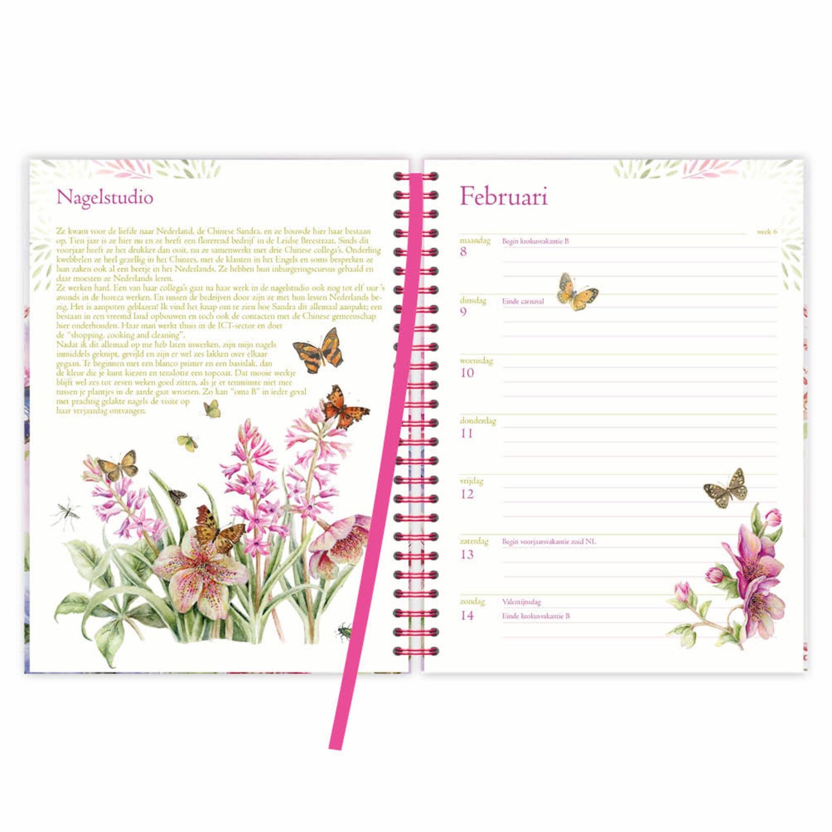 Janneke Brinkman bureauagenda harde kaft Hibiscus 2027