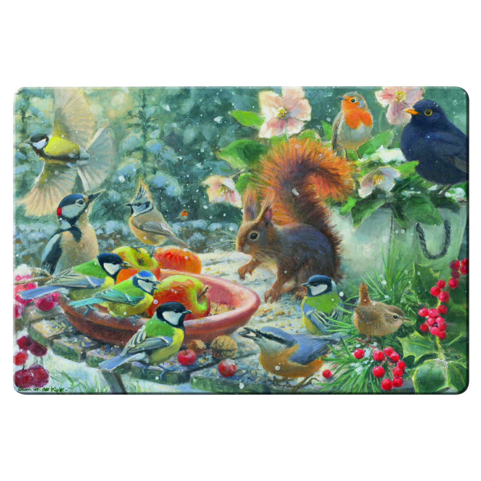 Placemat: A Robin’s Winter, Elwin van der Kolk, Vogelbescherming Nederland