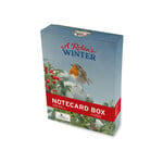 Notecard box: A Robin’s Winter, Elwin van der Kolk, Vogelbescherming Nederland