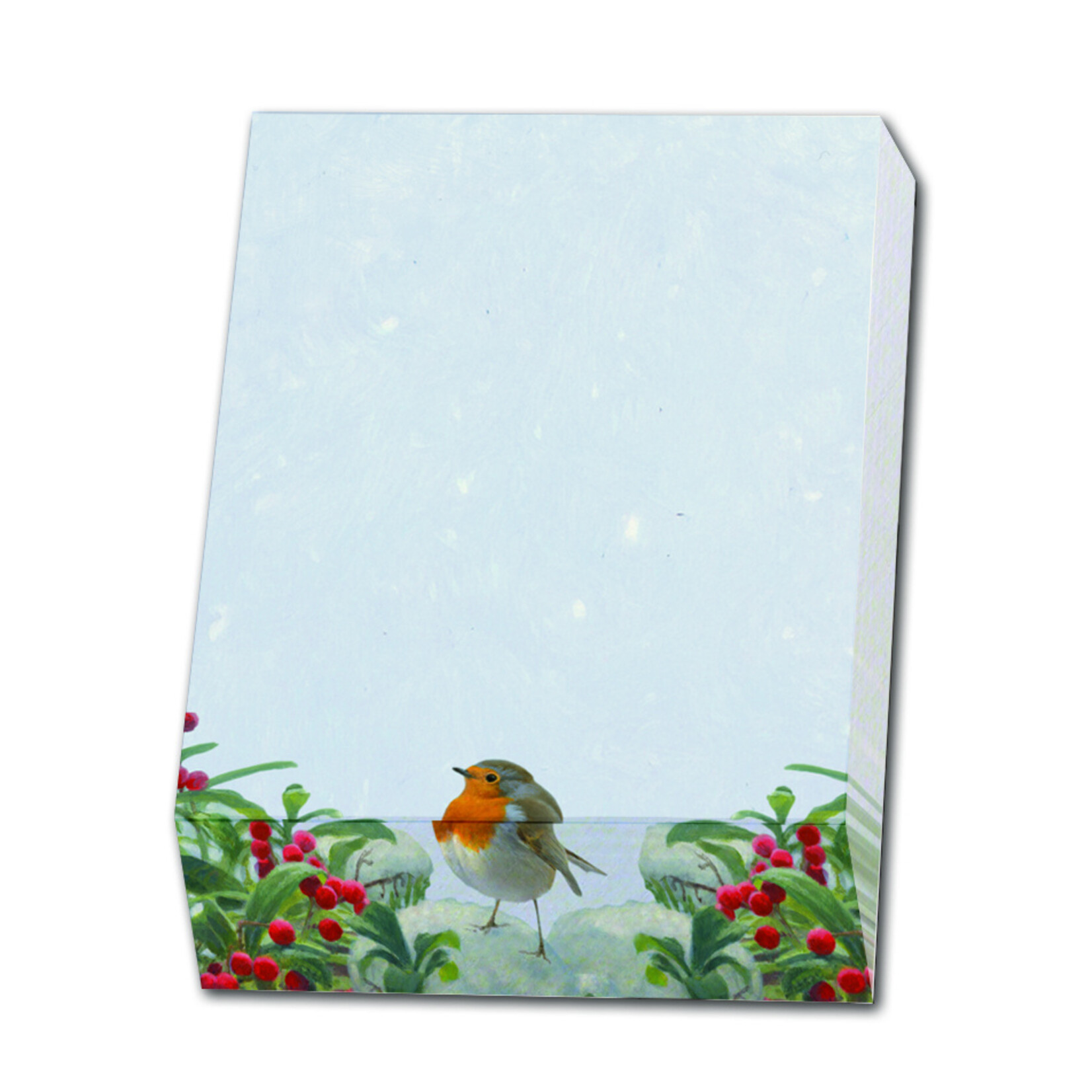 Memo blocnote: A Robin’s Winter, Elwin van der Kolk, Vogelbescherming Nederland