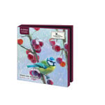 Kaartenmapje met env, vierkant: Birds in winter, Elwin van der Kolk, Vogelbescherming