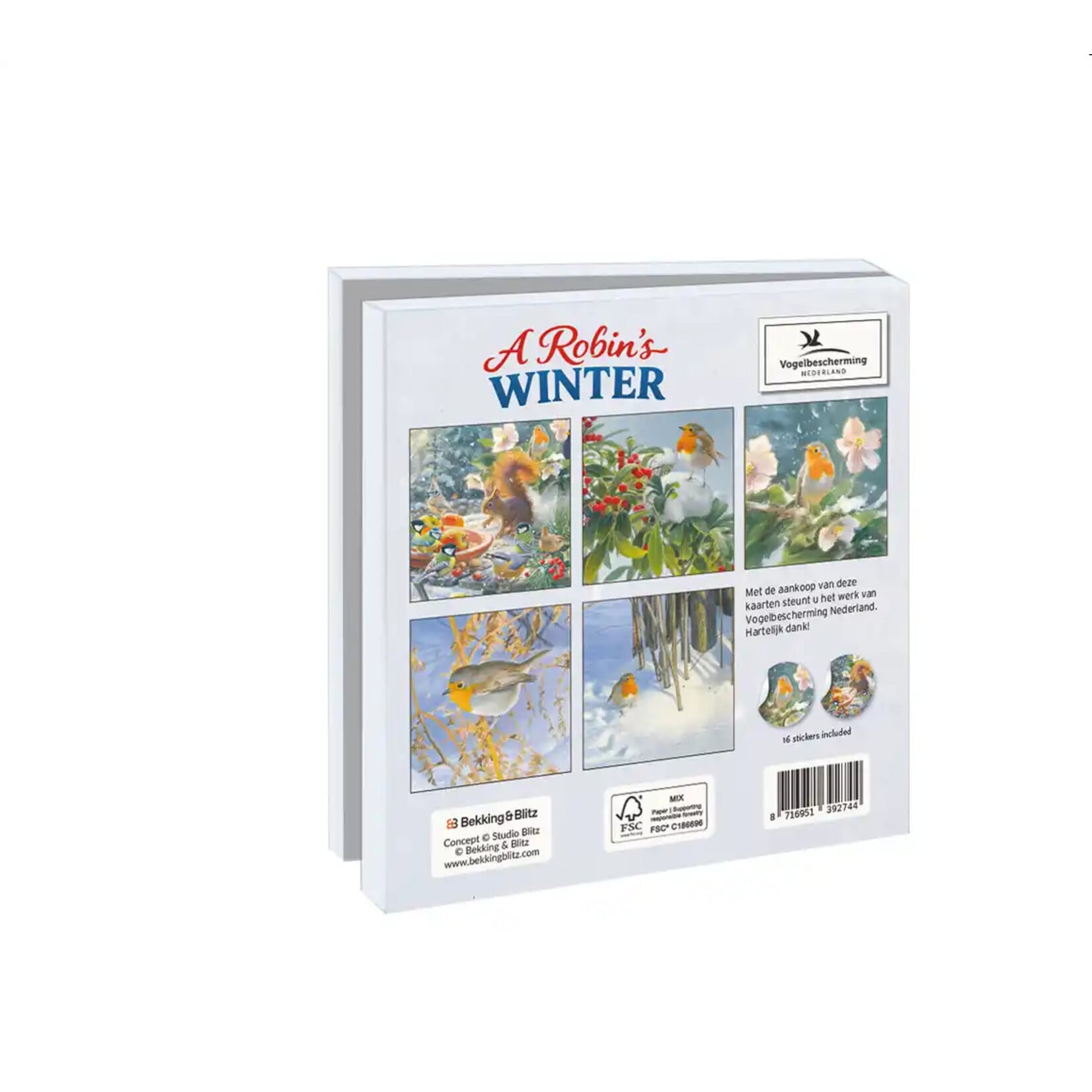 Kaartenmapje met env, vierkant: A Robins Winter, Elwin van der Kolk, Vogelbescherming