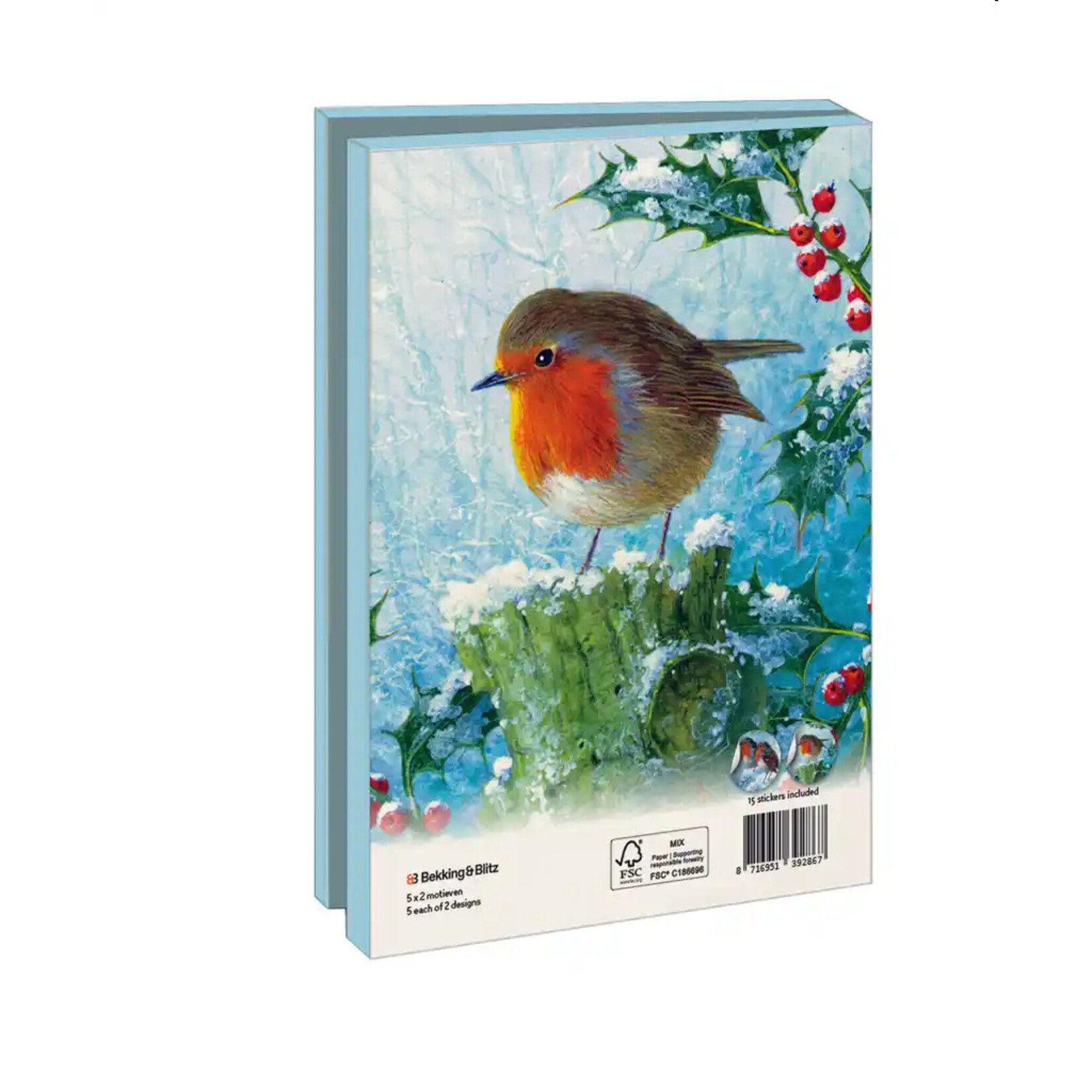 Kaartenmapje met env, groot: Robin in the winter, Brian Rushton