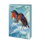 Kaartenmapje met env, groot: Robin in the winter, Brian Rushton
