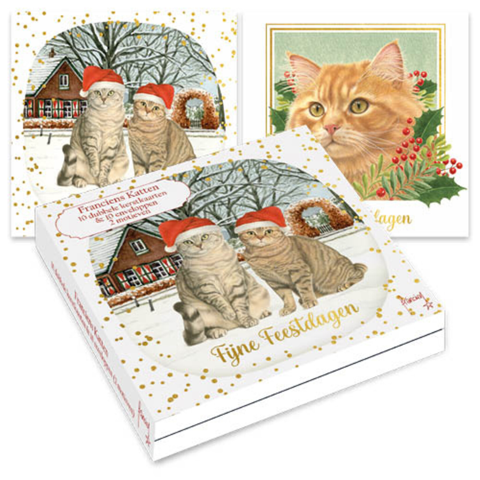 Franciens Katten kerstkaartenmapje Katten in de sneeuw - Jeroen
