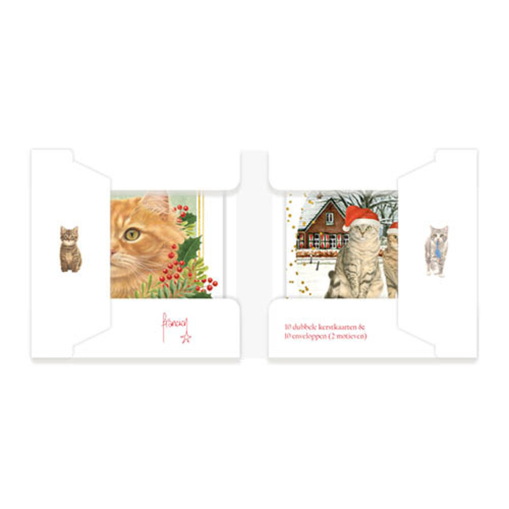 Franciens Katten kerstkaartenmapje Katten in de sneeuw - Jeroen
