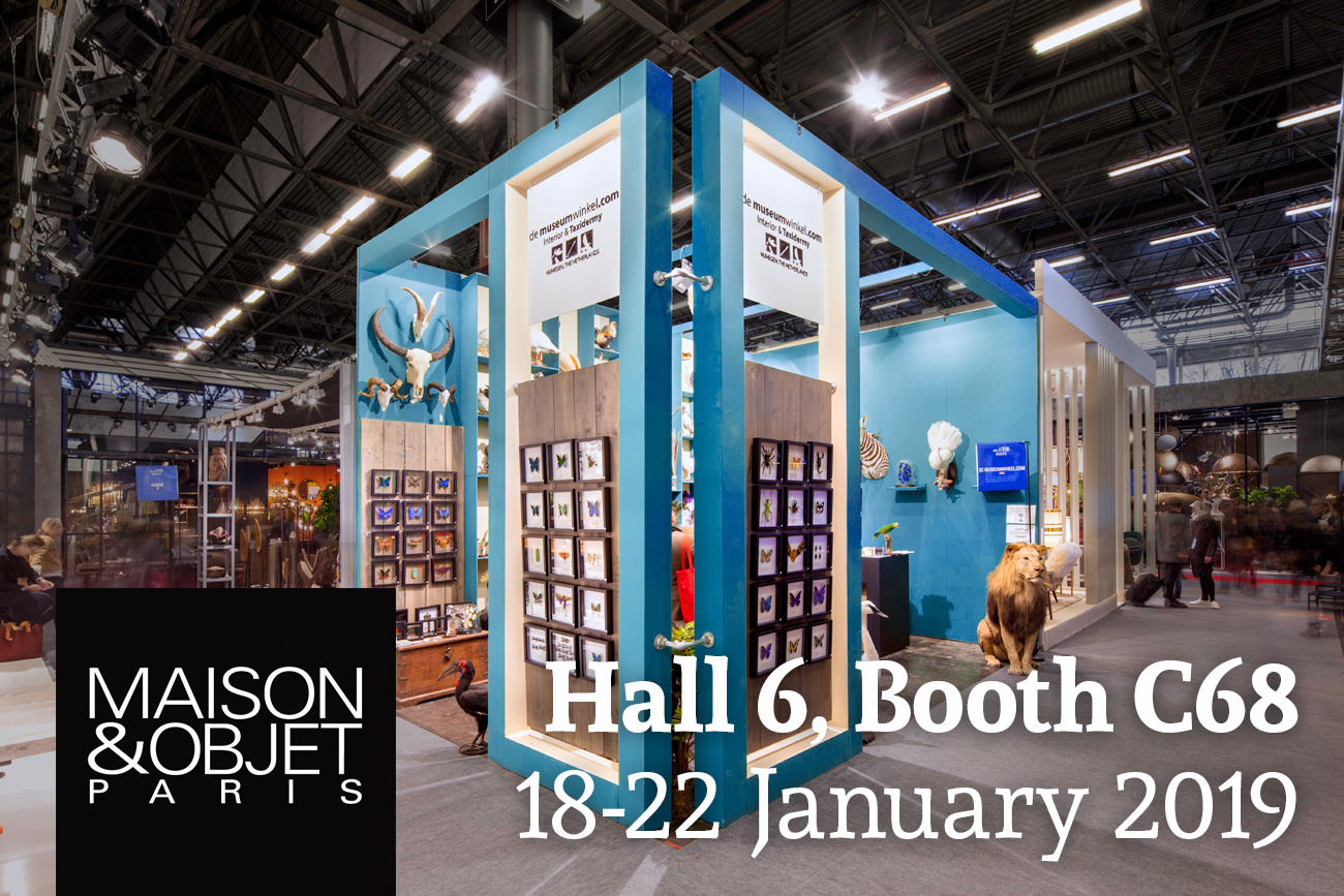 Maison & Objet: Get inspired!