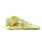 Skull goose