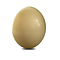 Ostrich egg