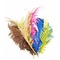 10x ostrich feathers in color