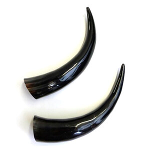 Polished cow horn