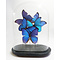 Antiek glazen stolp met opgezette vlinders - Morpho didius