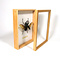 Insectendoos hout 23x30 cm