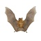 Mounted bat