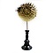 Porcupinefish on wooden base