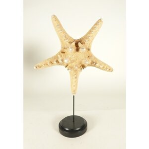 Starfish on wooden base