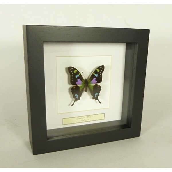 Exclusive black wooden frame 16 x 16 cm