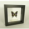 Exclusive black wooden frame 16 x 16 cm