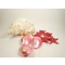 Bivalvia shell (pink)