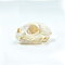 Skull Cat