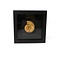 Fossil ammonite in elegant black frame (16 x 16 cm)