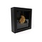 Fossil ammonite in elegant black frame (16 x 16 cm)