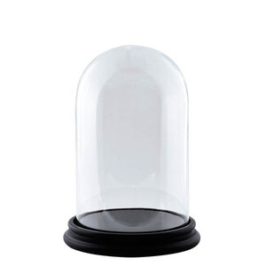 Glass dome - 25 cm x 19 cm